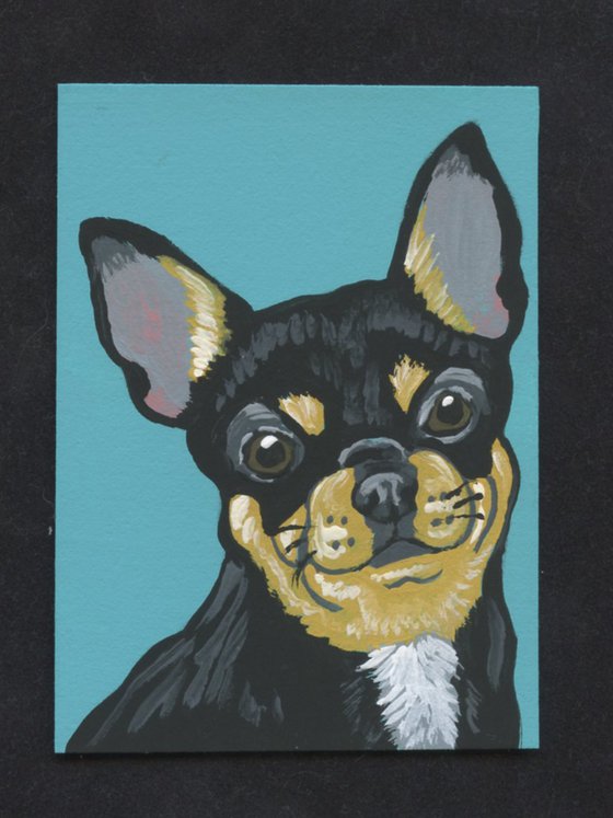 ACEO ATC Original Miniature Painting Black and Tan Chihuahua Pet Dog Art-Carla Smale