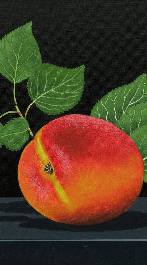 Peach with Greenery by Dietrich Moravec
