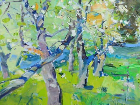 " Apple orchard "