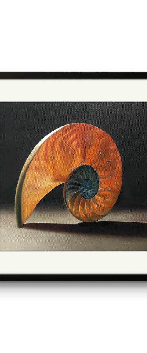 Harmony of the Nautilus by Qi Han