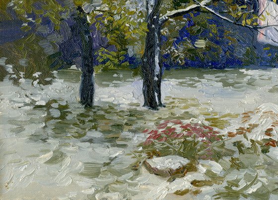 Opalikha. First snow