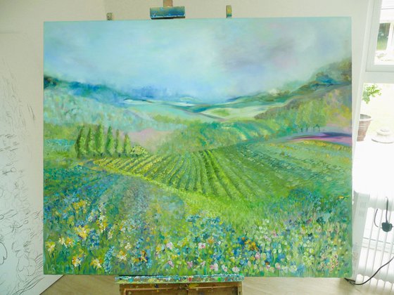 Lavender in Provence 2025
