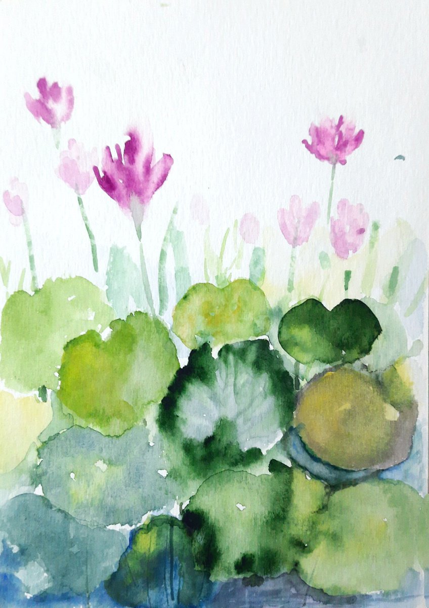 Water lilies 8 - Pale pink waterlilies watercolours on paper 5.8x8.3 by Asha Shenoy