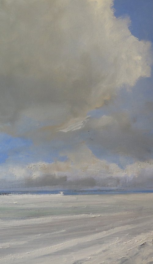 Snow, Jan 8 by Malcolm Ludvigsen