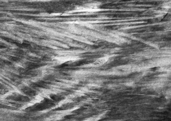 River Flow Patterns