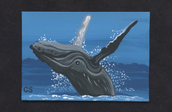 ACEO ATC Original Miniature Painting Humpback Whale Marine Wildlife Art-Carla Smale