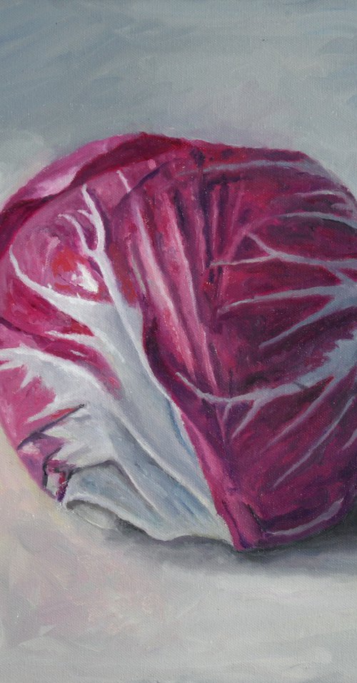 Radicchio by Douglas Newton