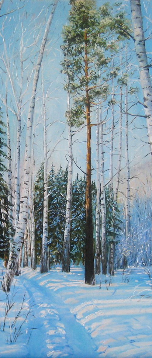 Winter Woodland Scenery by Natalia Shaykina