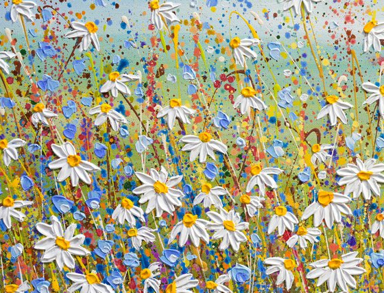 Morning Daisies