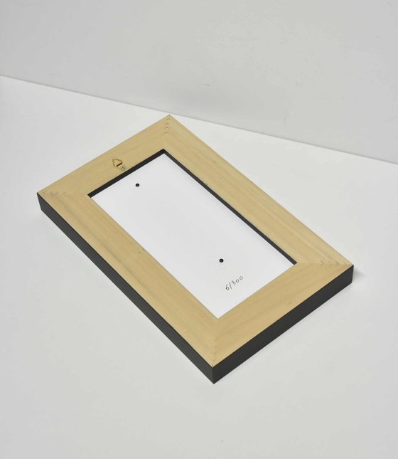 Painter's Trophy