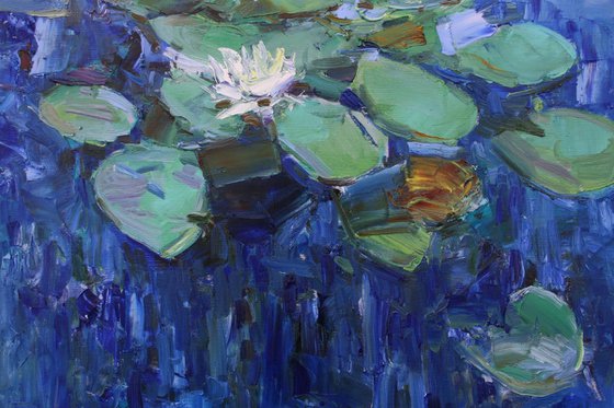 "Water Lilies "