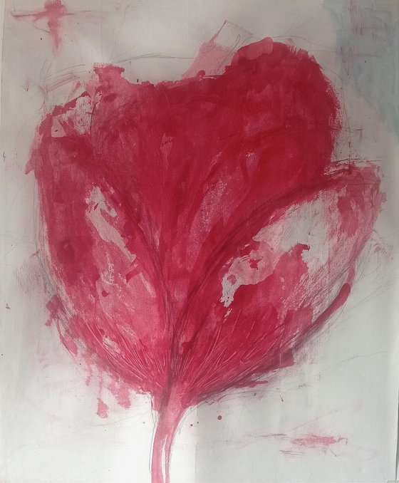 Tulip