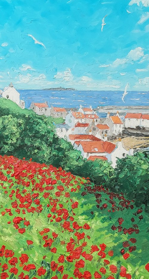 Wild poppies,  Pittenweem by Colin Ross Jack