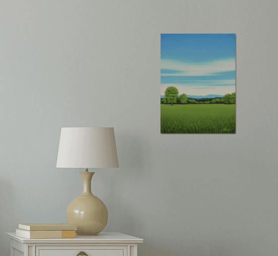 Grassy Meadow - Blue Sky