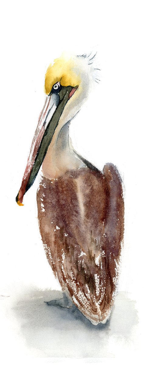 Brown Pelican (2 ) -  Original Watercolor Painting by Olga Tchefranov (Shefranov)