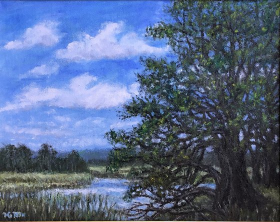 MARSH OAKS - oil 8X10