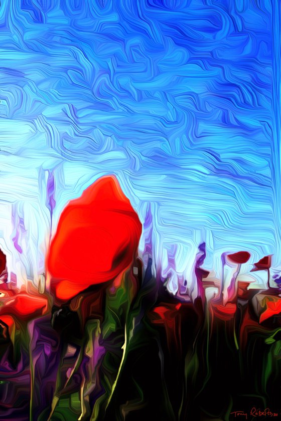 Poppy fields