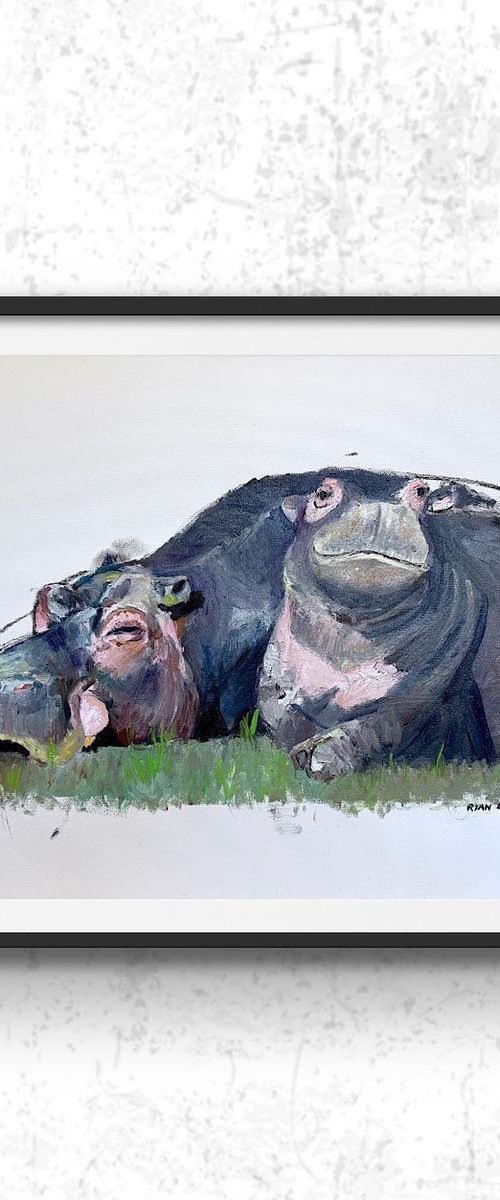 Hippos by Ryan  Louder