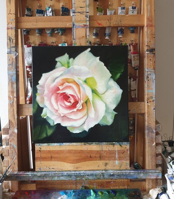 "Young beauty"  rose flower macro  original painting  GIFT (2018)