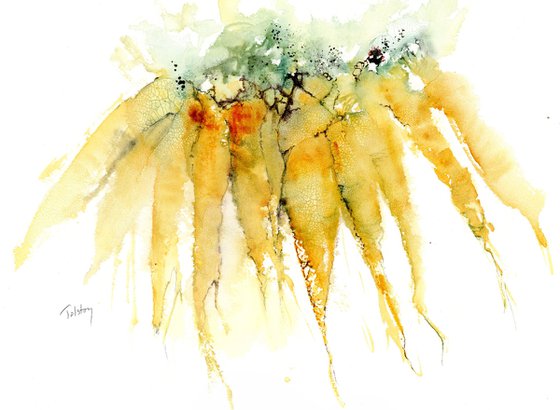 Carrots in a Bunch