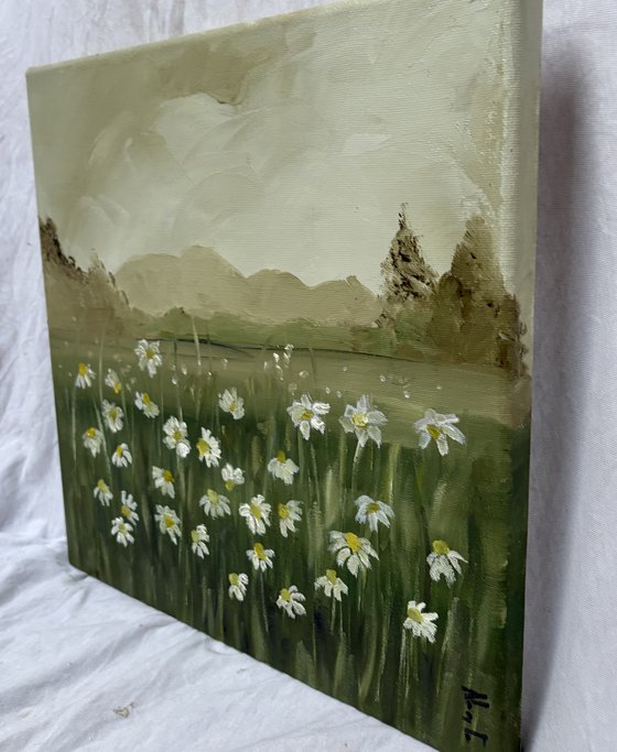 Wild daisies meadow on ochres horizon
