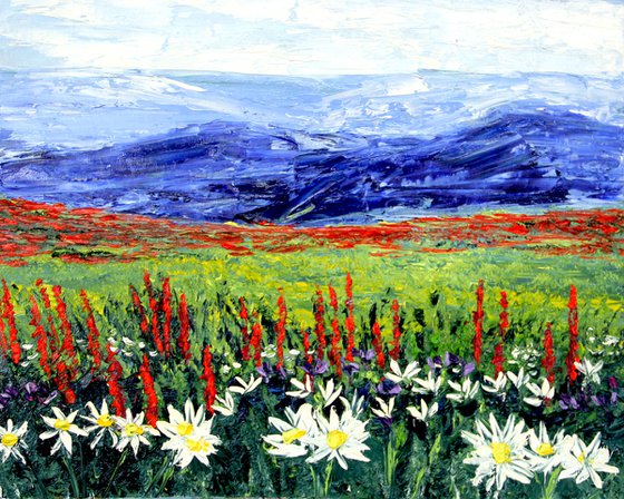Mountain landscape with wild flowers poppies and daisies