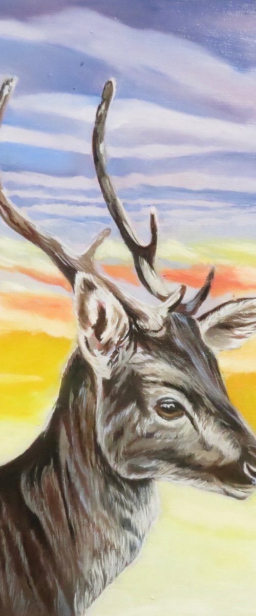 Young fallow deer, Original Oil Painting of Anne Zamo by Anne Zamo