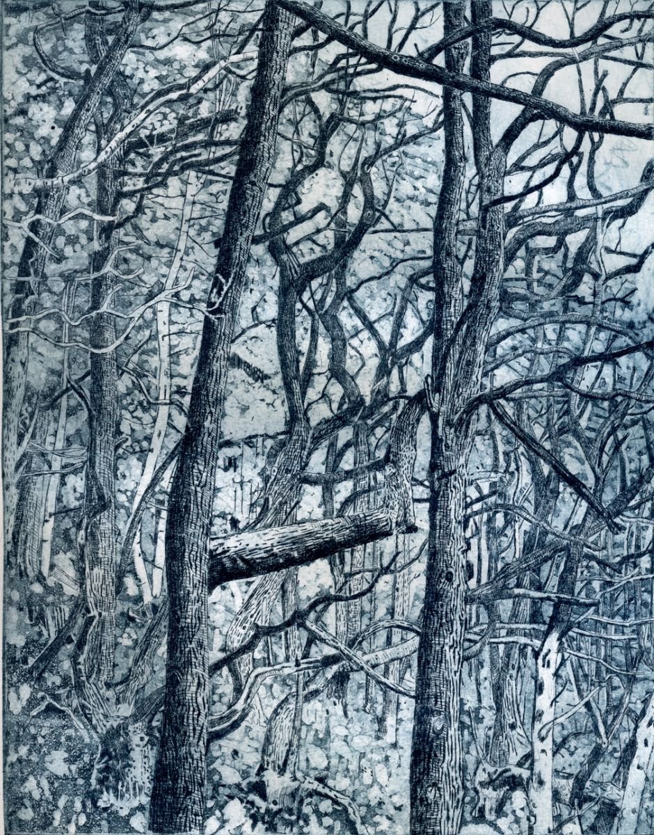 Tangled Wood Etching / Engraving by Janis Goodman Artfinder
