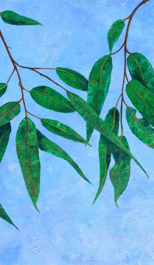 Botanical 4 Gum Leaves by John N Mason