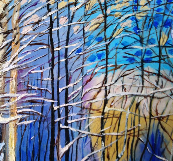 Poplars on a sunny winter day