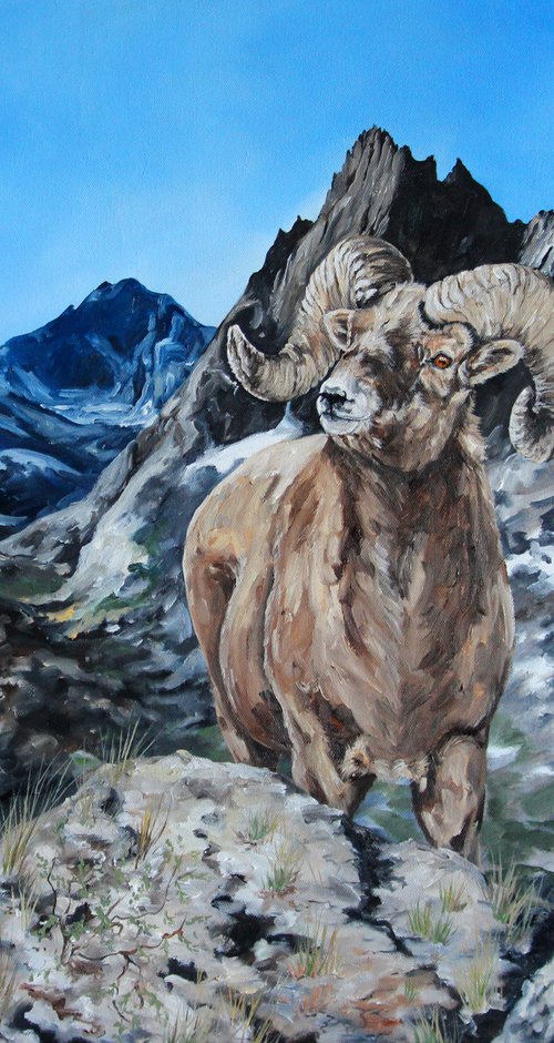 Landscape - Wildlife - "Bighorn of Wind River by Katrina Case
