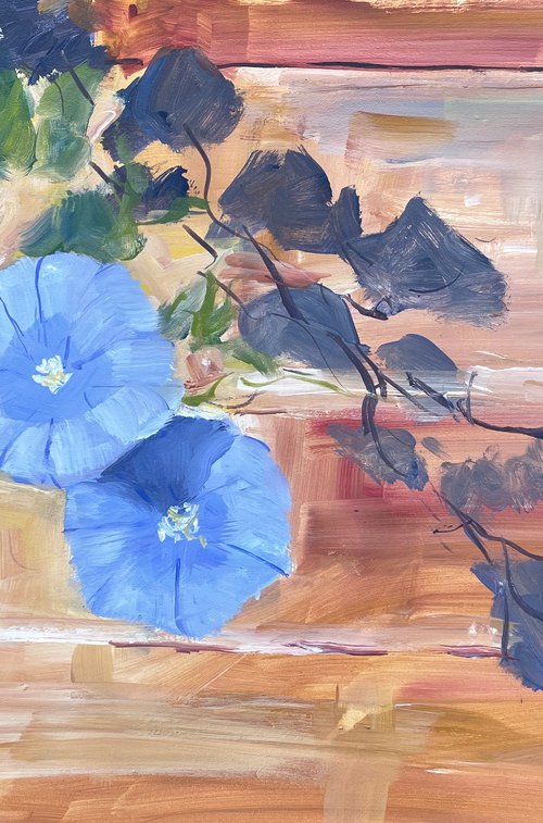 Blue rock bindweed by Shelly Du