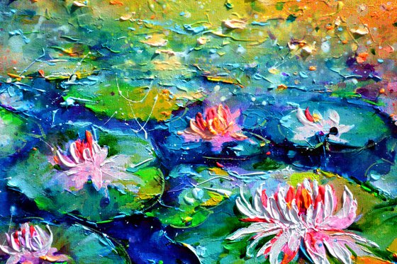 Water Lilies on the Pond