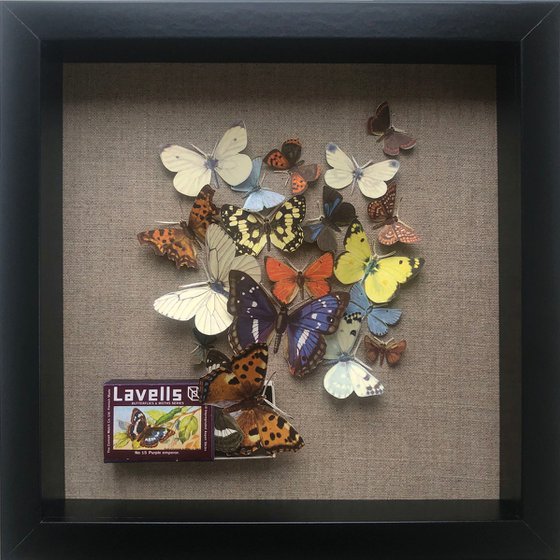 Take Flight - framed butterfly relief