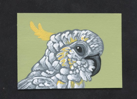 ACEO ATC Original Miniature Painting Yellow Crested Cockatoo Parrot Pet Bird Art-Carla Smale