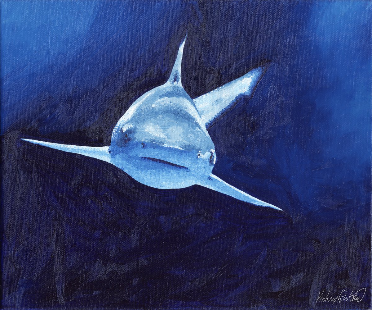 Blacktip Shark Oil Painting - Brave by Kelsey Emblow