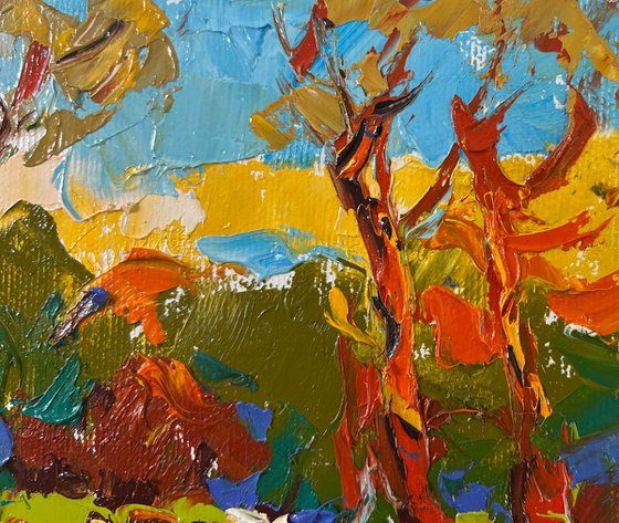 Summer evening in the forest