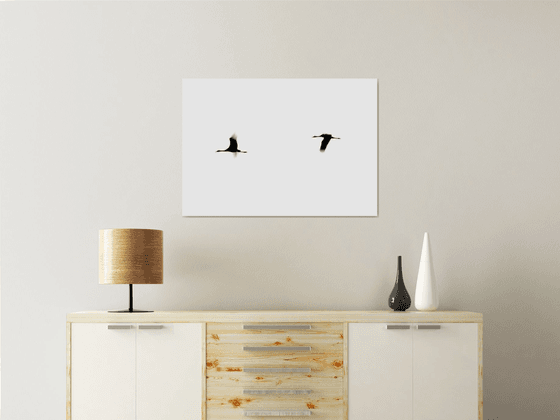 Crane(s) II | Limited Edition Fine Art Print 1 of 10 | 75 x 50 cm