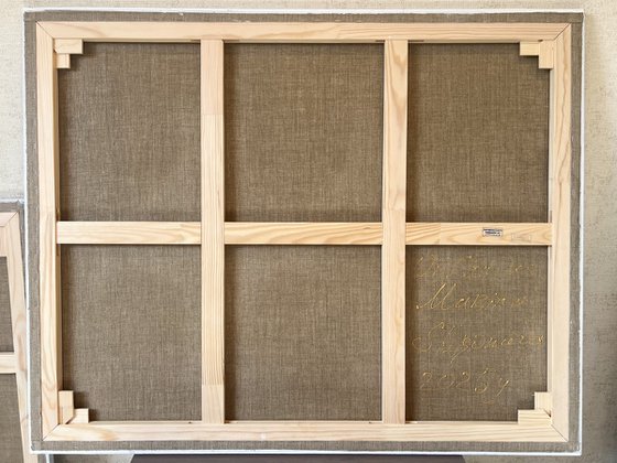 Two large white flowers on white