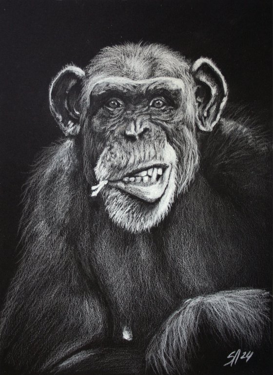 Chimpanzee I