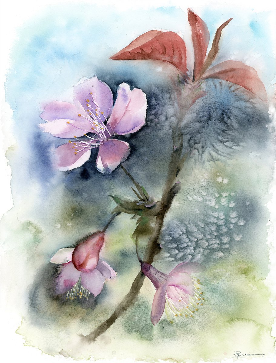 Cherry blossom branch by Olga Shefranov (Tchefranova)