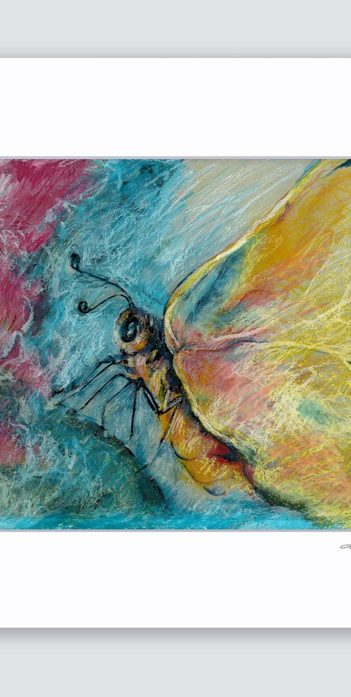 Butterfly by Kathy Morton Stanion