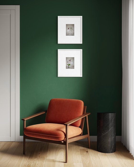 Lilium martagon