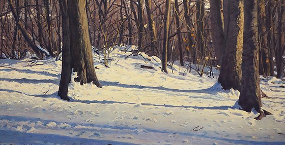 Winter Stillness: Snow and Shadow