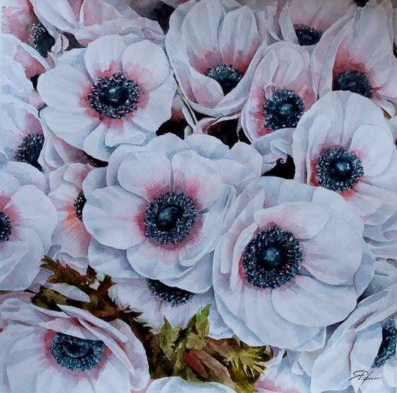 Anemones