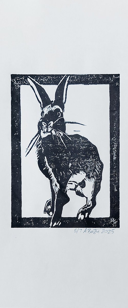Rabbit 5/7 by Aleksandar Bašić