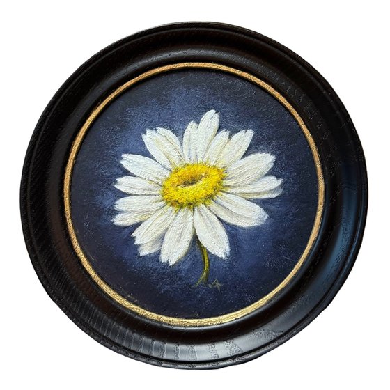Portrait of a daisy