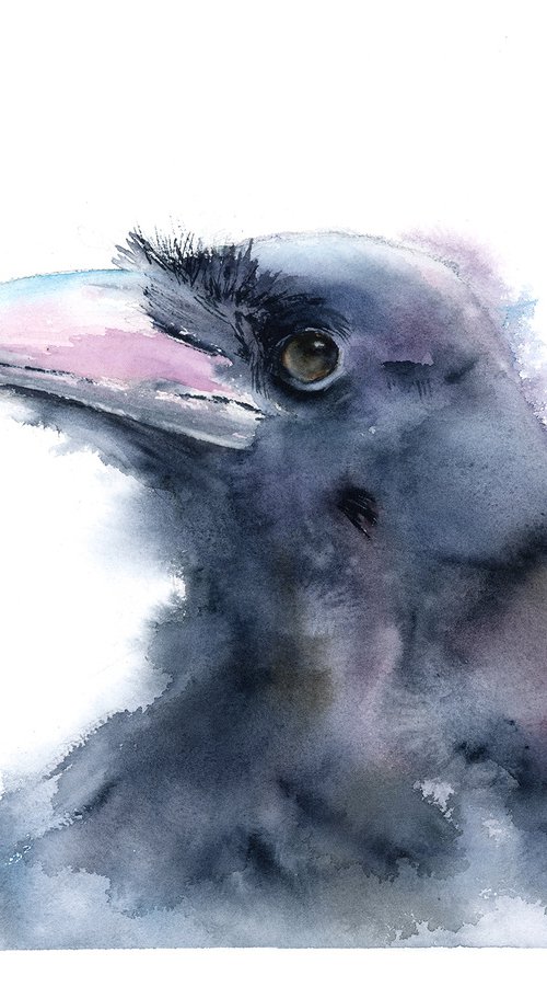 Crow Portrait by Olga Tchefranov (Shefranov)