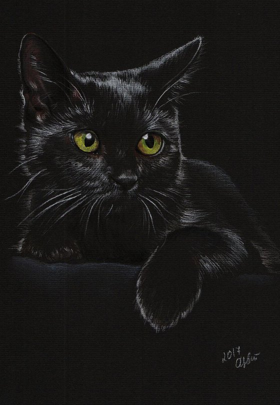 Black Cat. 21cm x 30cm. Colorful pastel portrait.