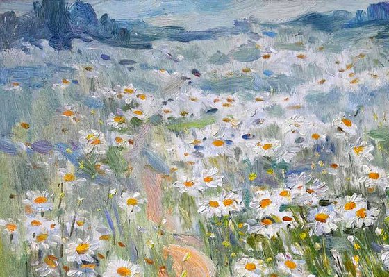 Camomile field